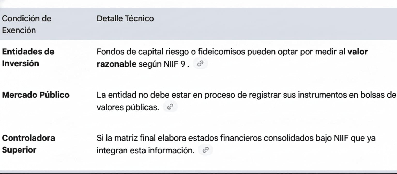 Guía Definitiva de la NIC 28 - Inversiones en Asociadas y Negocios Conjuntos 1 NIC 28